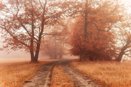 Straße zum Herbst / ***