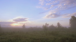 Es war Sommer ... / ***