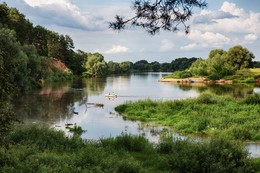 On the Dnieper / [img]https://c.radikal.ru/c26/1808/4a/c29b582659f5.jpg[/img]

[img]https://d.radikal.ru/d04/1808/31/018e8de1ea6e.jpg[/img]

[img]https://d.radikal.ru/d38/1808/b1/7b4765573144.jpg[/img]

[img]https://d.radikal.ru/d41/1808/c1/8b34d179e965.jpg[/img]