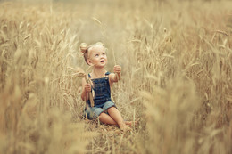 The smell of summer / ***