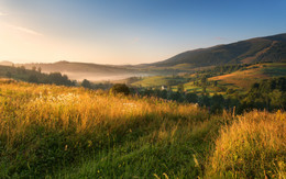 Summer Carpathians / ***