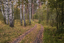 Beginning of autumn / ***