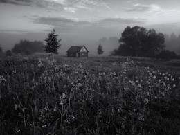 1427652826 / fs sdfV