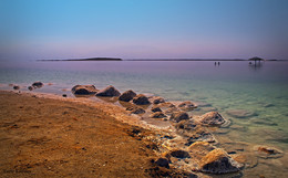 Dead Sea / ***