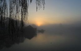 Foggy morning / ***
