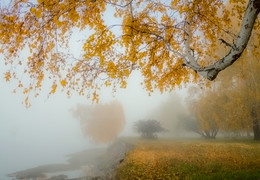 September bereits / ***