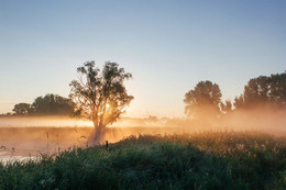 Morgendämmerung / ***
