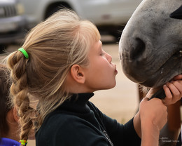 Ich liebe mein Pferd ... / ***