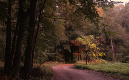 Zeichen des Herbstes. / ***