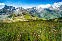 Grossglocknerstrasse / Grossglocknerstrasse in summer