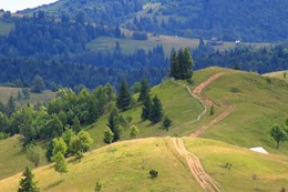 Carpathians / ***