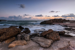 Mediterranean / ***