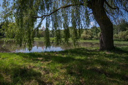 Pochaev / ***