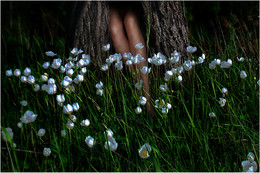etude / ***