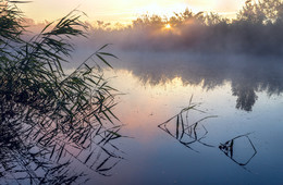 Through the mist / ***