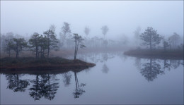 Fliegen im Nebel / ***