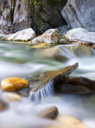 wildes Wasser / wildes Wasser