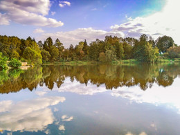 Altweibersommer / ***