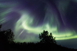 Aurora / ***