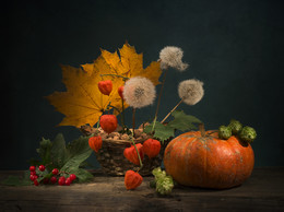 Warm autumn / ***