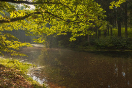 Alter Teich ... / ***