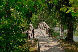 In the old park / ***