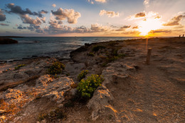 Mediterranean / ***