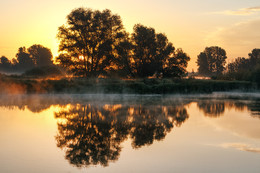 Dawn / ***