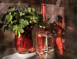 Shades of red / ***