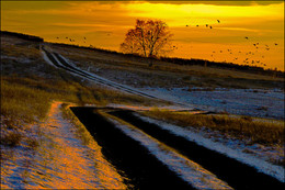 Evening road / ***