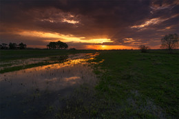 Nostalgie für den Frühling ... / ....