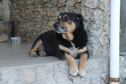 Arthur / [img]https://i.postimg.cc/vB15CnqM/IMG_0623.jpg[/img]
