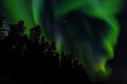 The Arctic Circle / ***