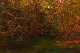 Autumn colors ... / ***