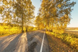 Herbst / ***