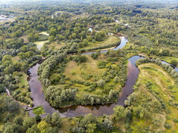 Marshy woodlands / ***