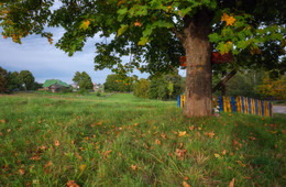 &nbsp; / +++++++++++++