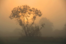 Pashkevich68 / Pashkevich68