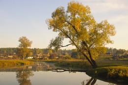 Autumn / ***
