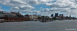 Fischmarkt Hamburg / ***
