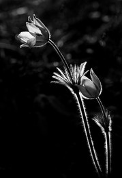 Don't leave me / Don't leave me