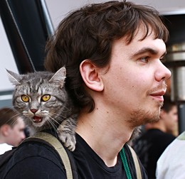 Auf dem Spaziergang / ***