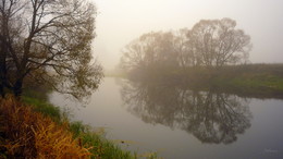 Herbstnebel. / ***
