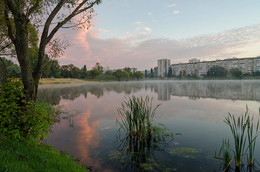 Morning in city / ***