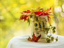 Herbst / °°°