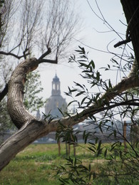 Blick auf die Frauenkirche / Das Dresdner Wahrzeichen mal aus einer anderen Perspektive