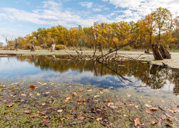 Autumn / ***