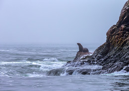 On the island / ***