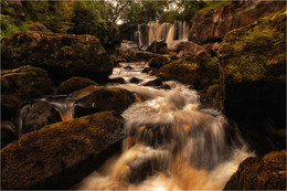 ... Unter den bemoosten Felsen ... / ***