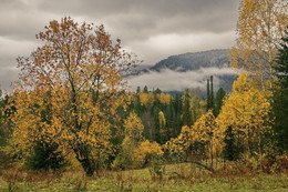 Autumn / ***